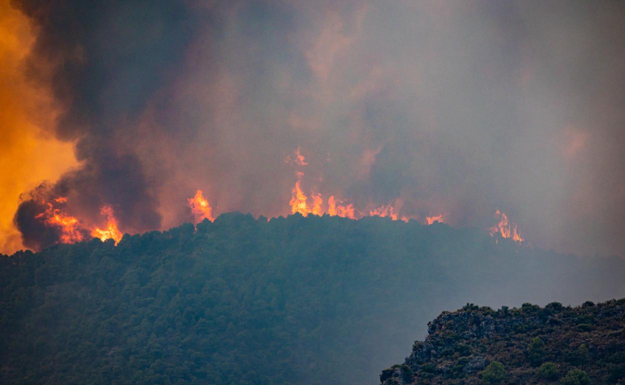 El fuego arrasa terreno forestal en Los Guájares.