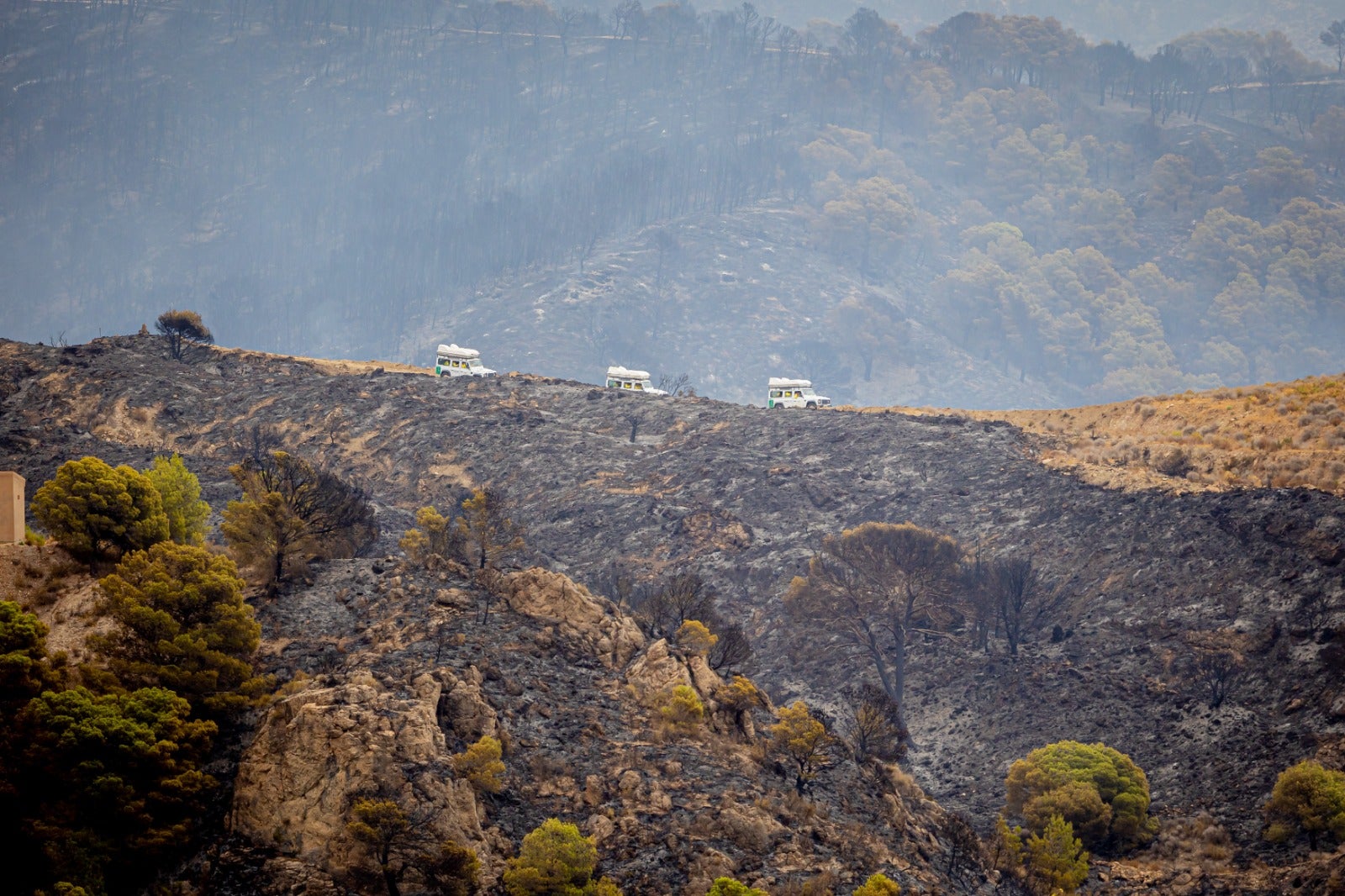 Tres vechículos del Plan Infoca recorren una de las zonas arrasadas por el fuego.
