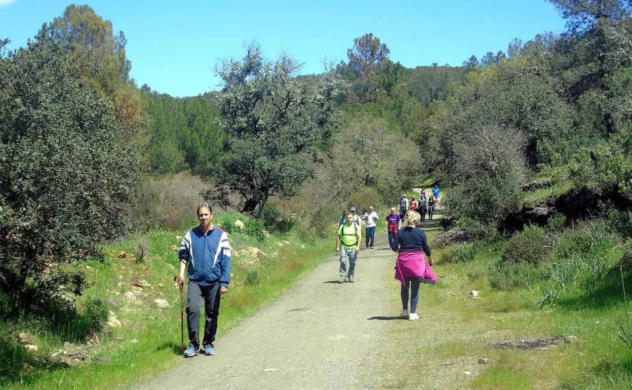Caminantes por uno de los senderos de La Aliseda en el término municipal de San Elena., en el Parque Natural de Despeñaperros. 