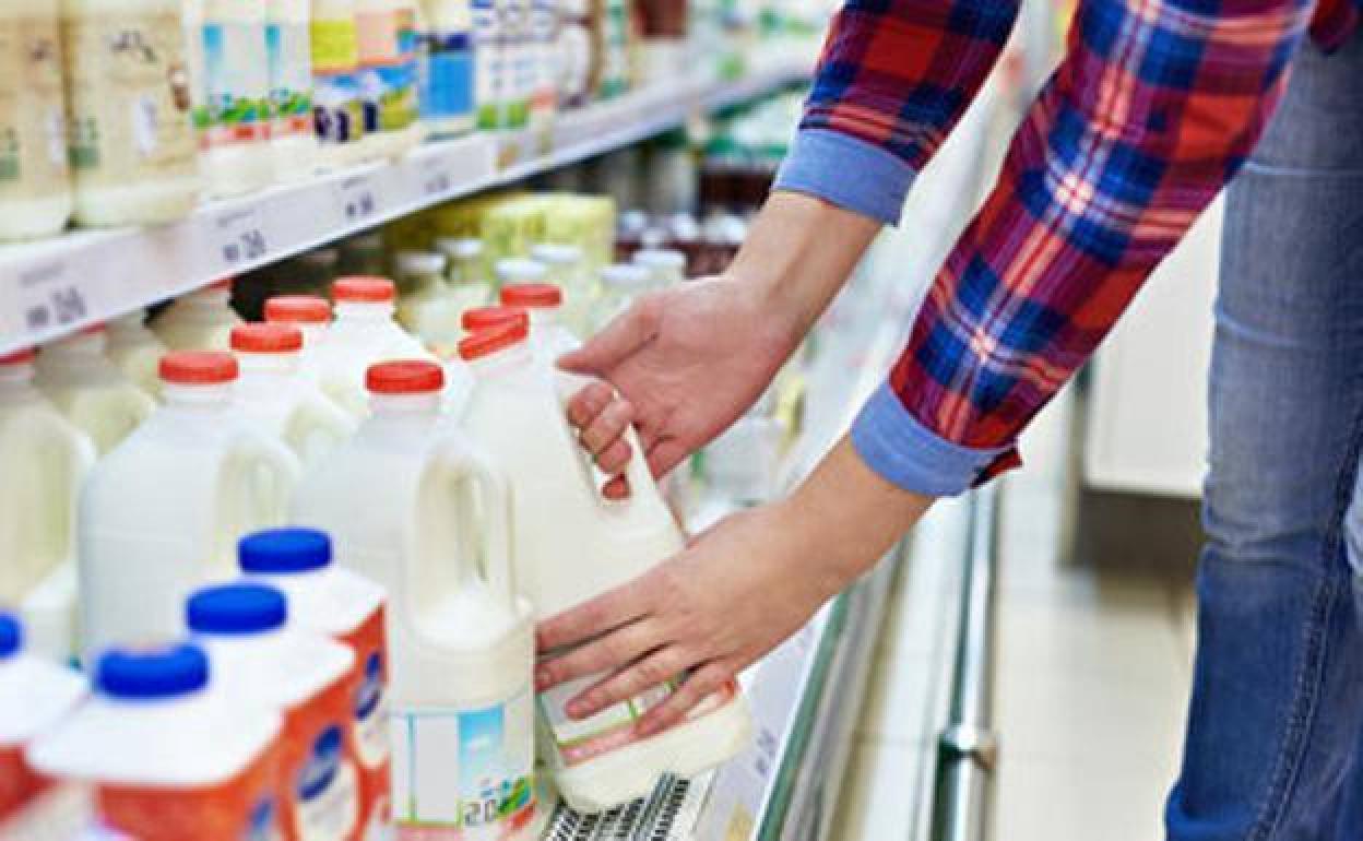 La Organización de Consumidores y Usuarios analiza la calidad de distintas marcas de leche.