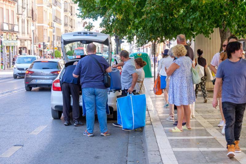 Imagen secundaria 2 - Paradas de Plaza Nueva y la Fuente de las Batallas, en distintos momentos de la jornada. 