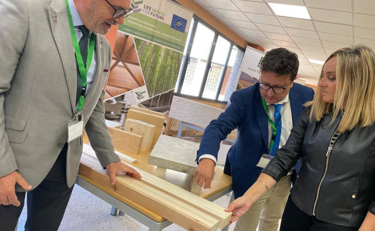 Juan Manuel Santiago, director de la ETSde Edificación, y Antolino Gallego, coordinador de LIFEMadera para el Futuro, muestran a la consejera los nuevos productos de chopo para la construcción sostenible. 