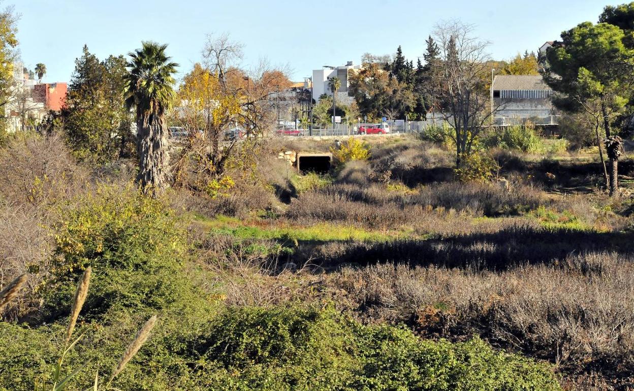 Cauce del arroyo Periquito Melchor que se prevé canalizar. 