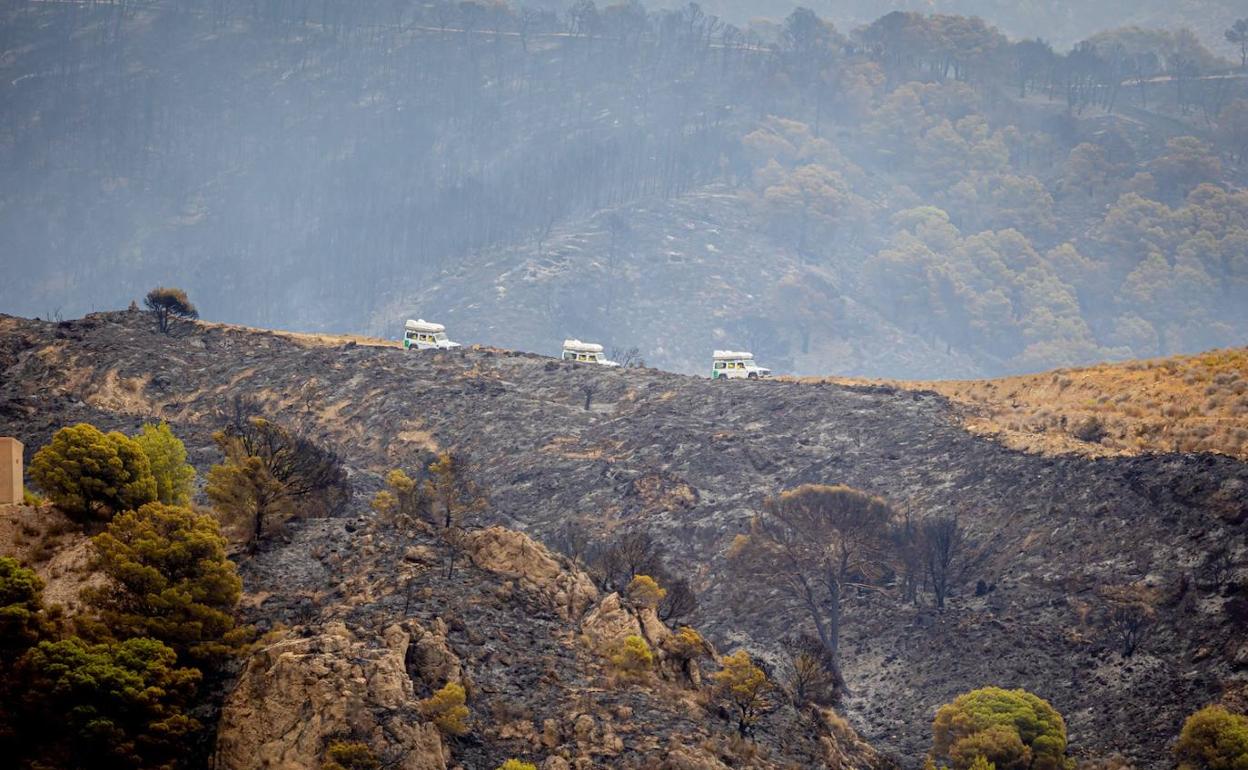Superficie calcinada en este incendio . 
