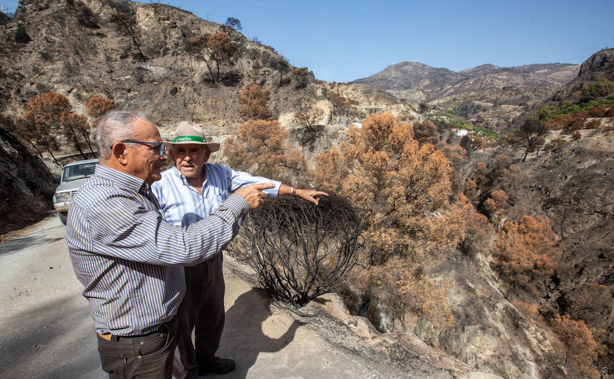 Antonio González y Antonio Guerrero, en la zona cero del fuego