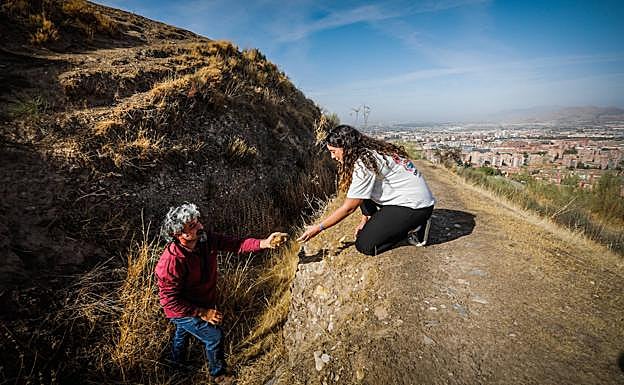 Análisis de materiales. 