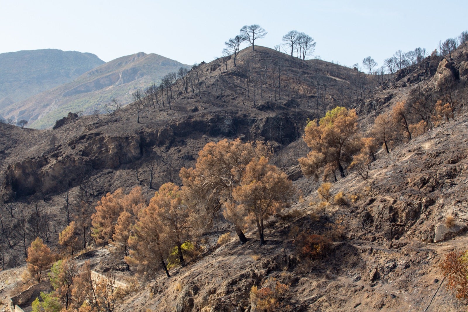 Así ha quedado la zona de Los Guájares tras el gran incendio