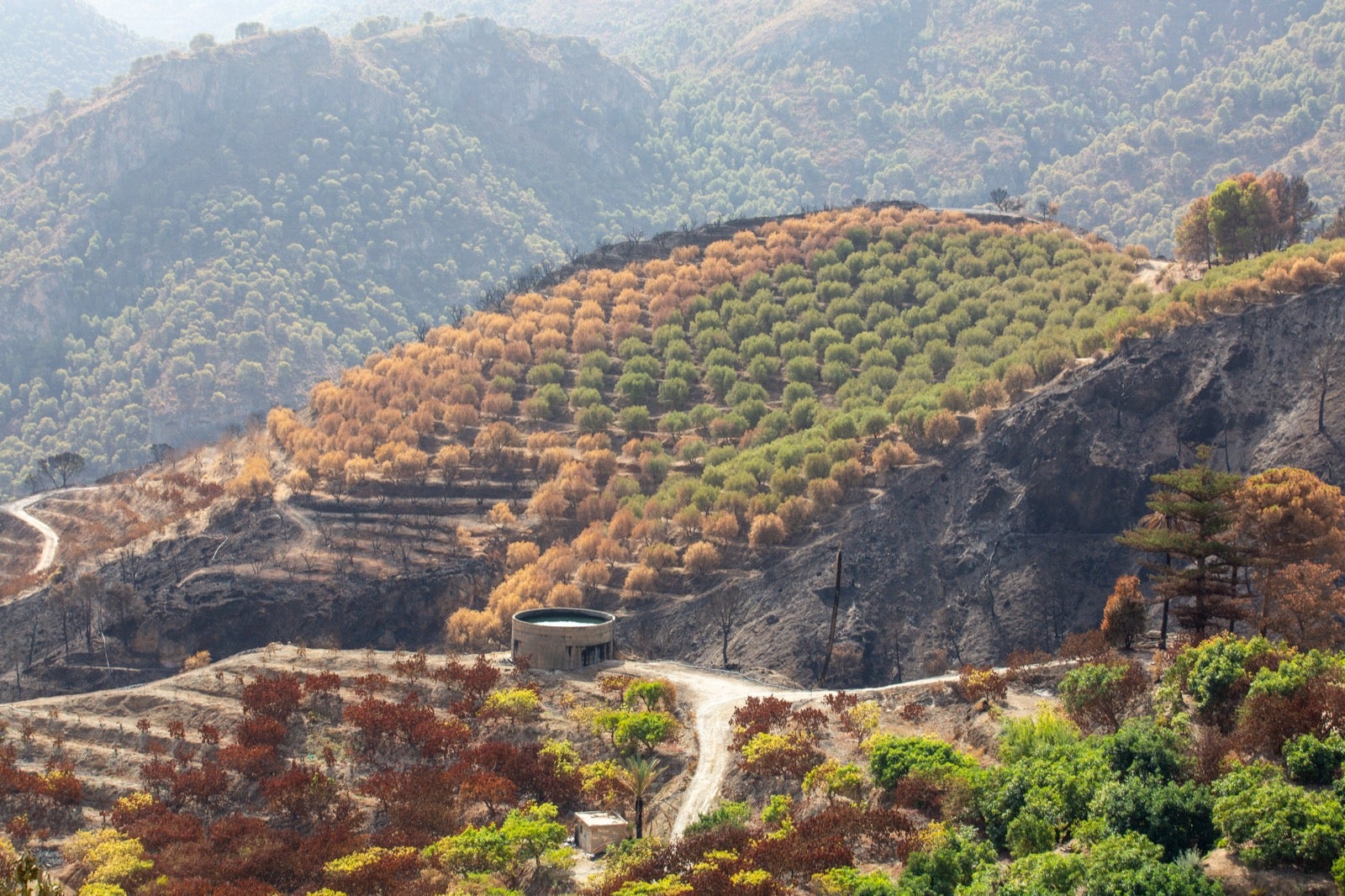 Así ha quedado la zona de Los Guájares tras el gran incendio