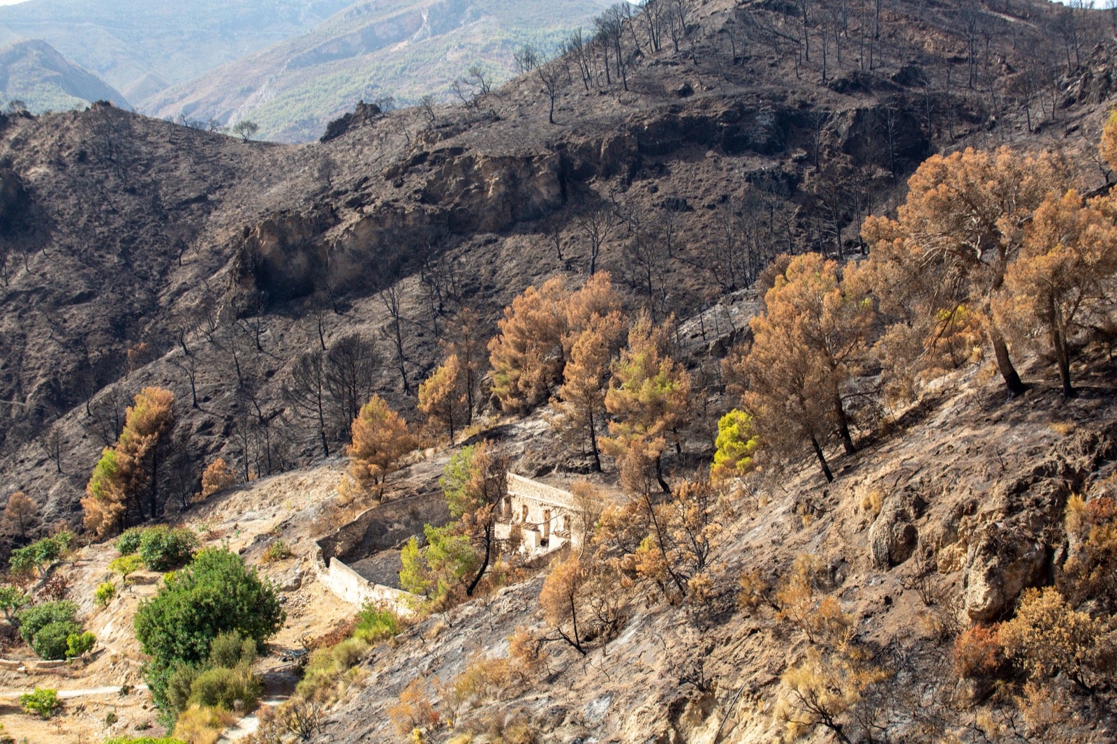 Así ha quedado la zona de Los Guájares tras el gran incendio