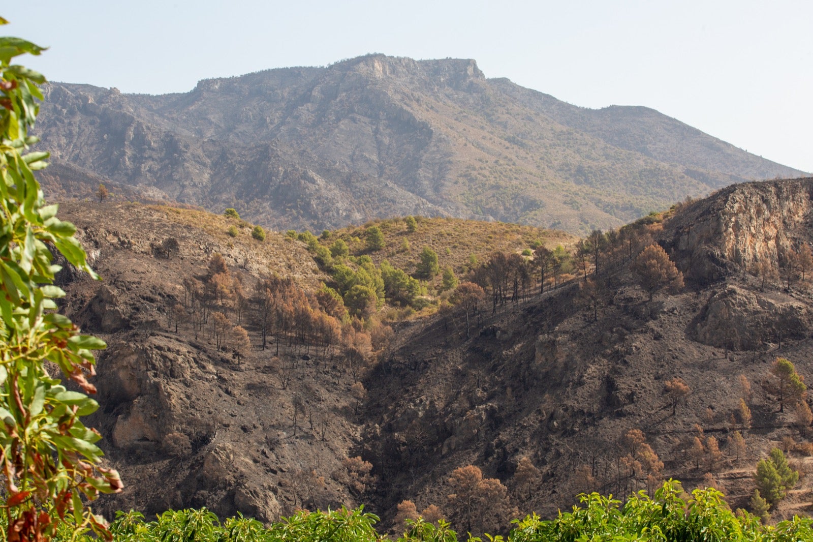 Así ha quedado la zona de Los Guájares tras el gran incendio
