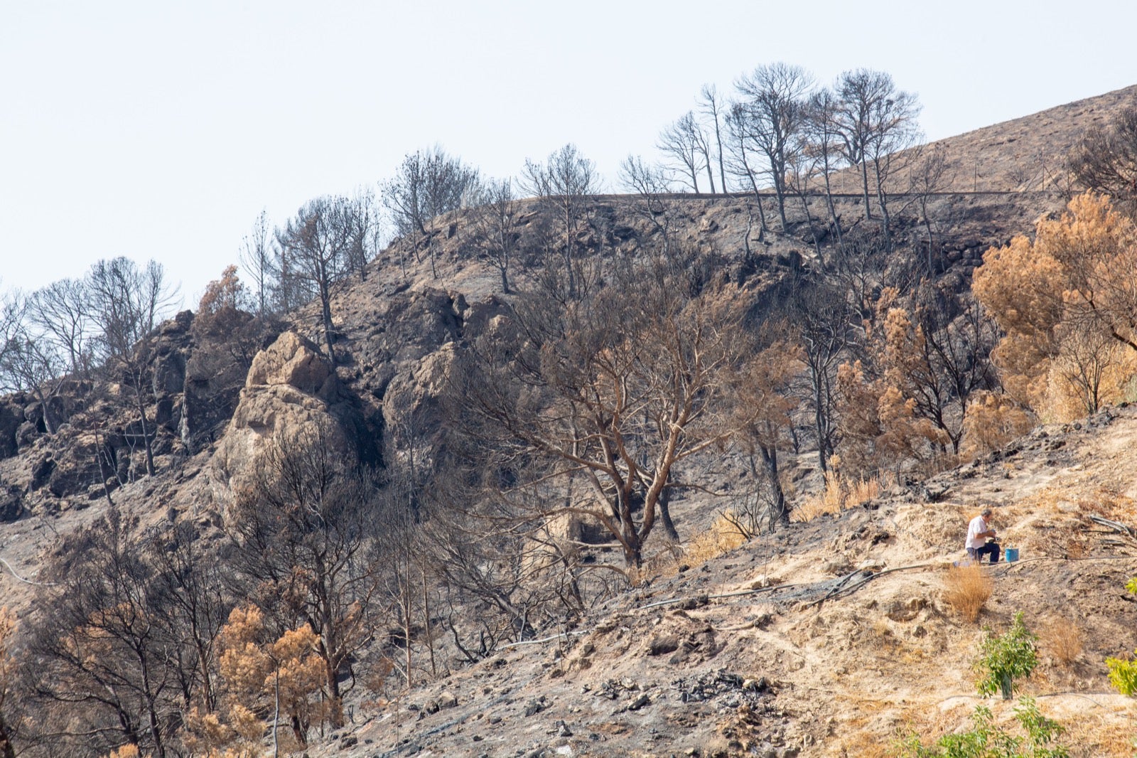 Así ha quedado la zona de Los Guájares tras el gran incendio
