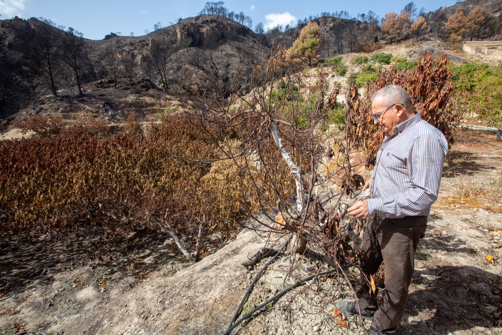 Así ha quedado la zona de Los Guájares tras el gran incendio