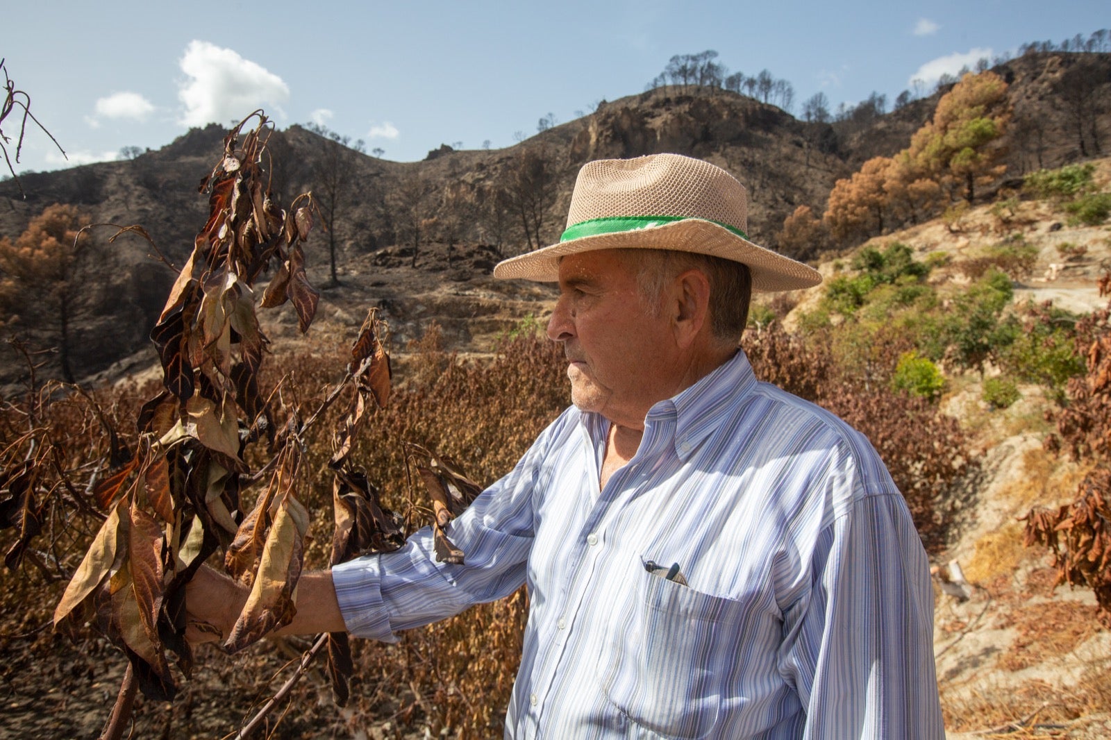 Así ha quedado la zona de Los Guájares tras el gran incendio