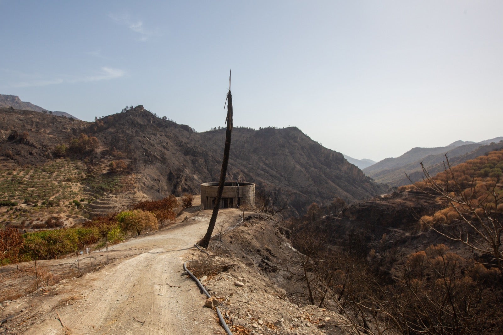 Así ha quedado la zona de Los Guájares tras el gran incendio