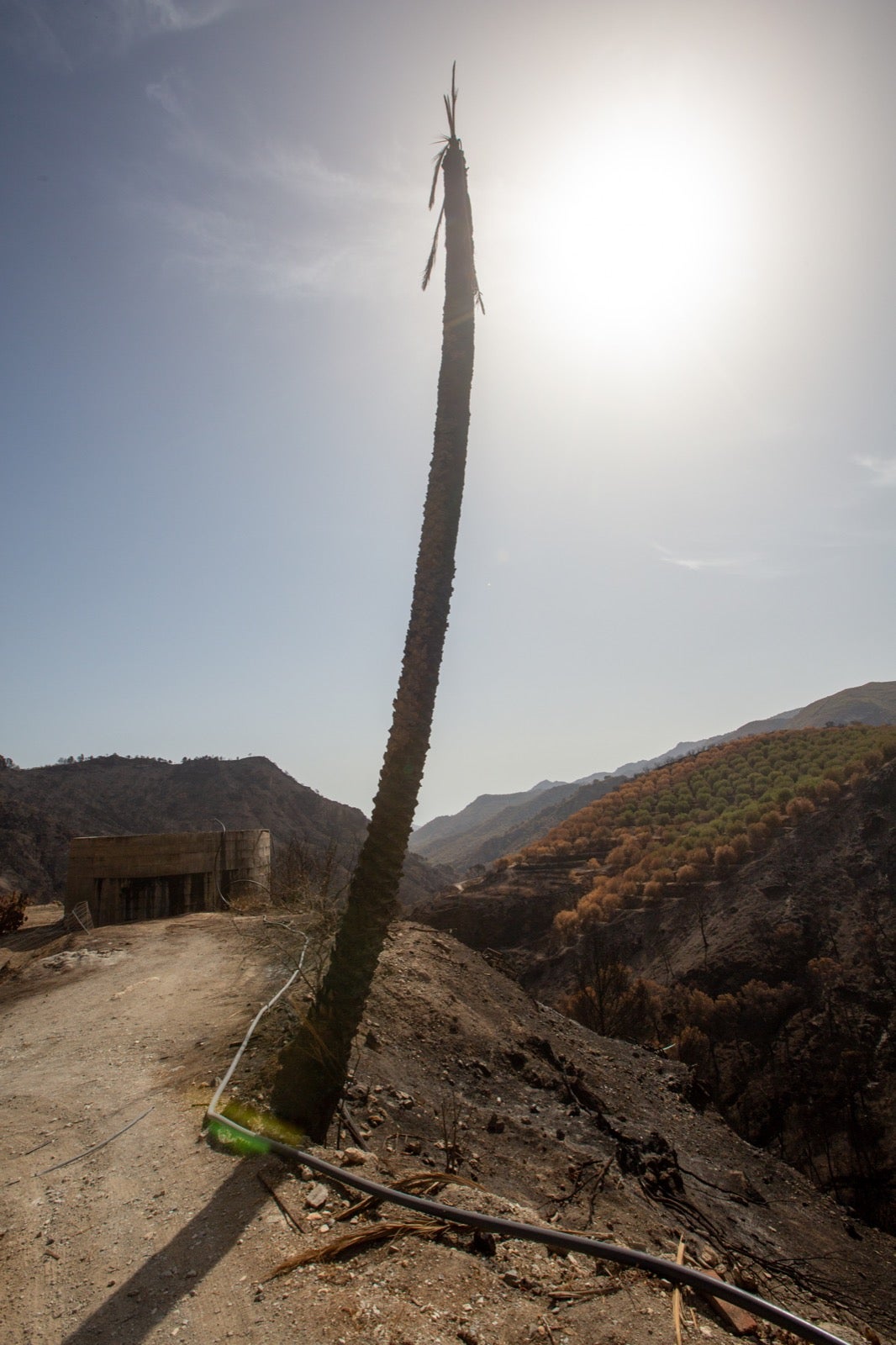 Así ha quedado la zona de Los Guájares tras el gran incendio