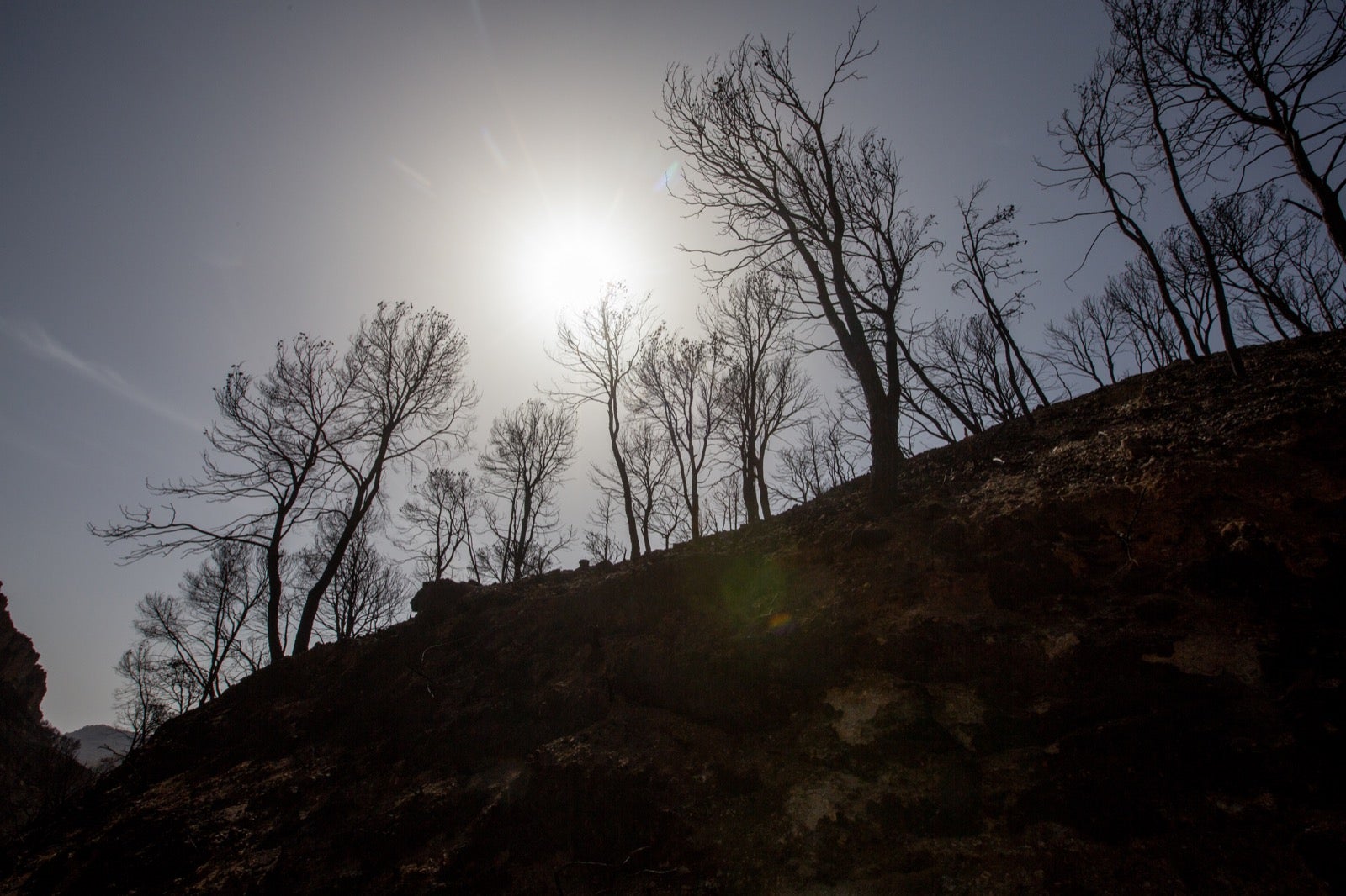 Así ha quedado la zona de Los Guájares tras el gran incendio
