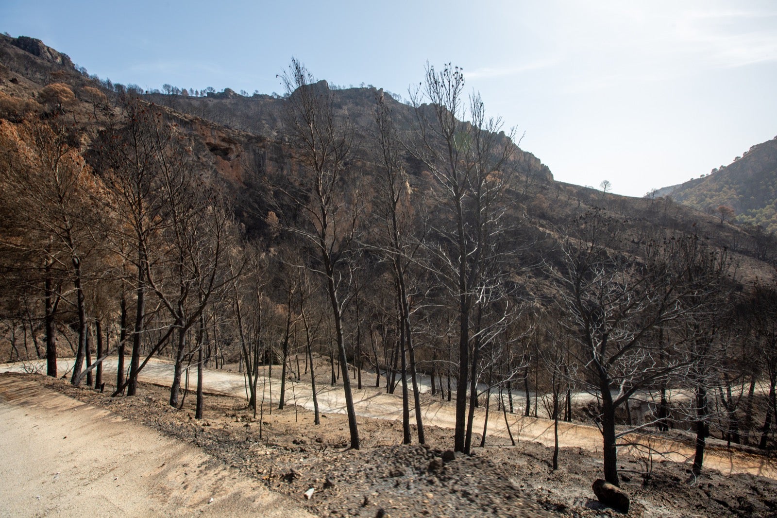 Así ha quedado la zona de Los Guájares tras el gran incendio
