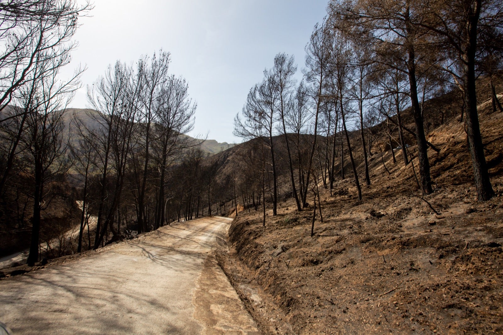 Así ha quedado la zona de Los Guájares tras el gran incendio