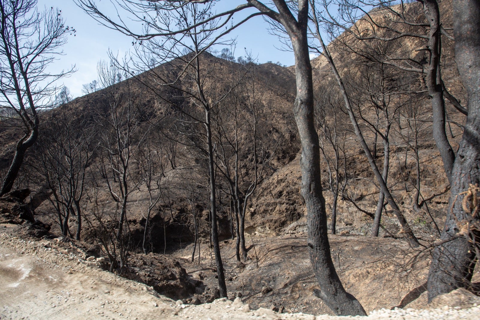 Así ha quedado la zona de Los Guájares tras el gran incendio