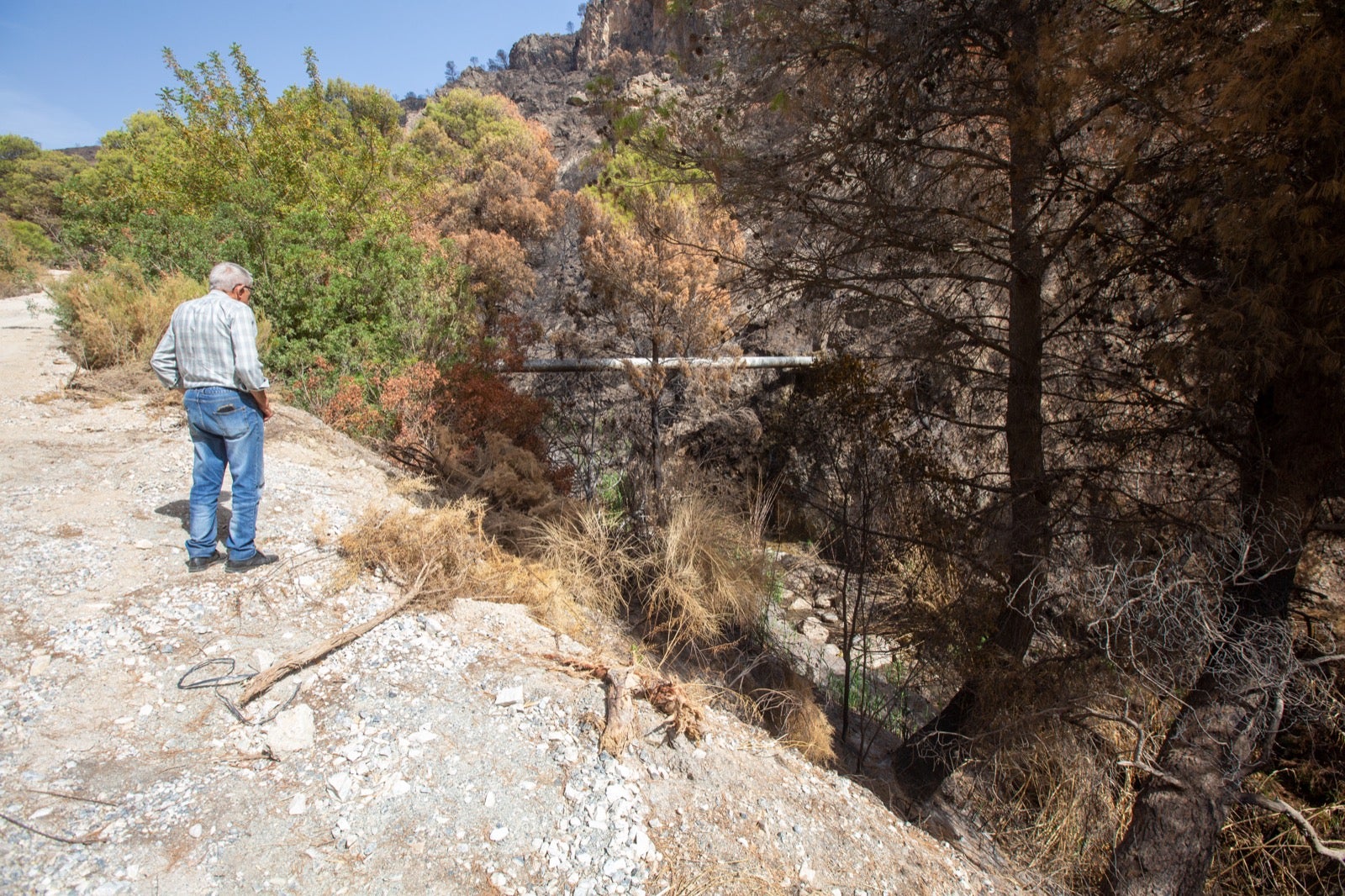 Así ha quedado la zona de Los Guájares tras el gran incendio
