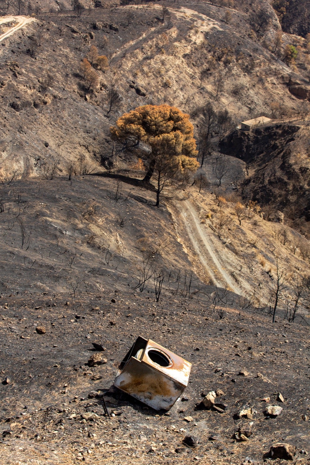 Así ha quedado la zona de Los Guájares tras el gran incendio