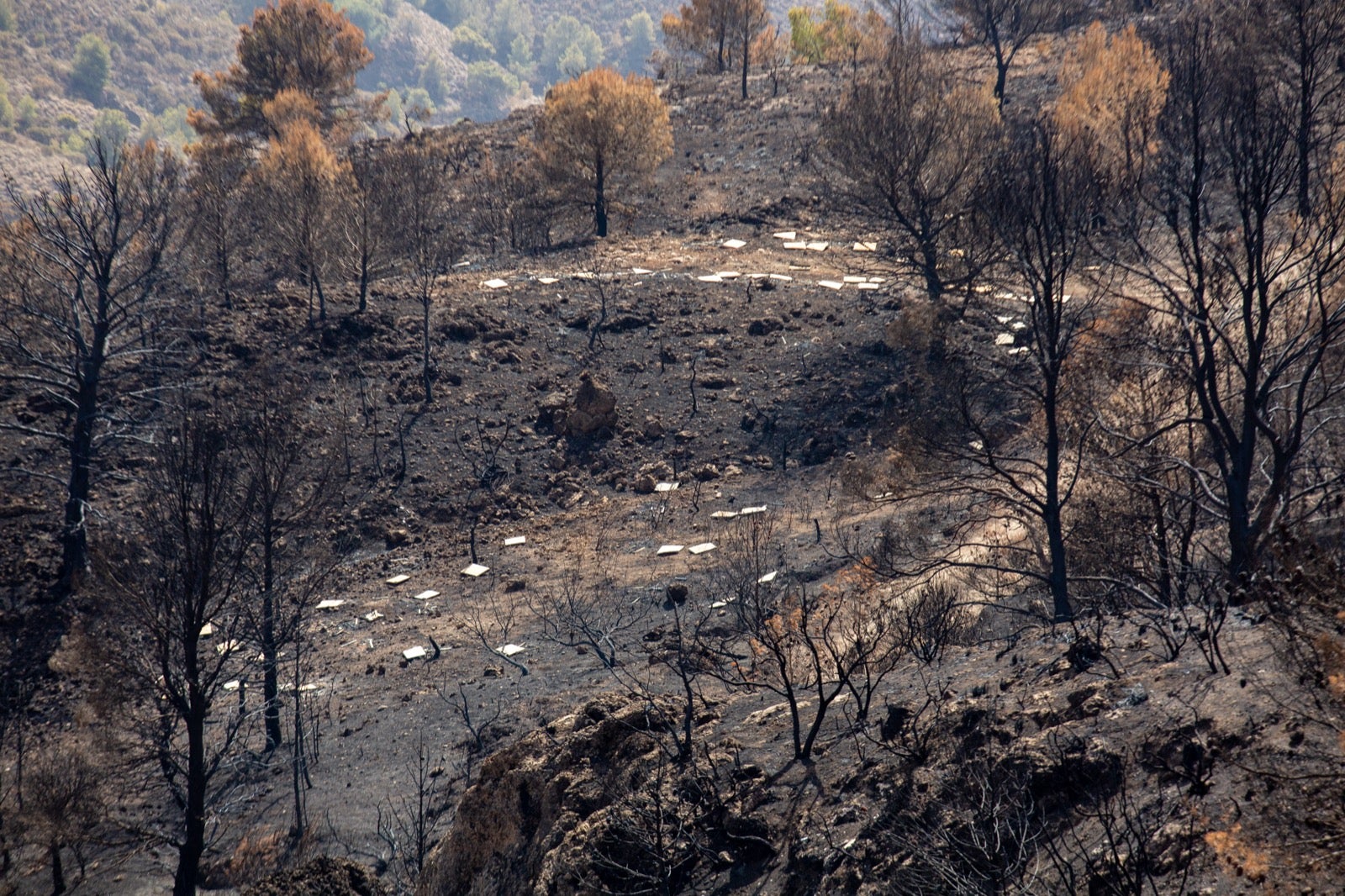 Así ha quedado la zona de Los Guájares tras el gran incendio