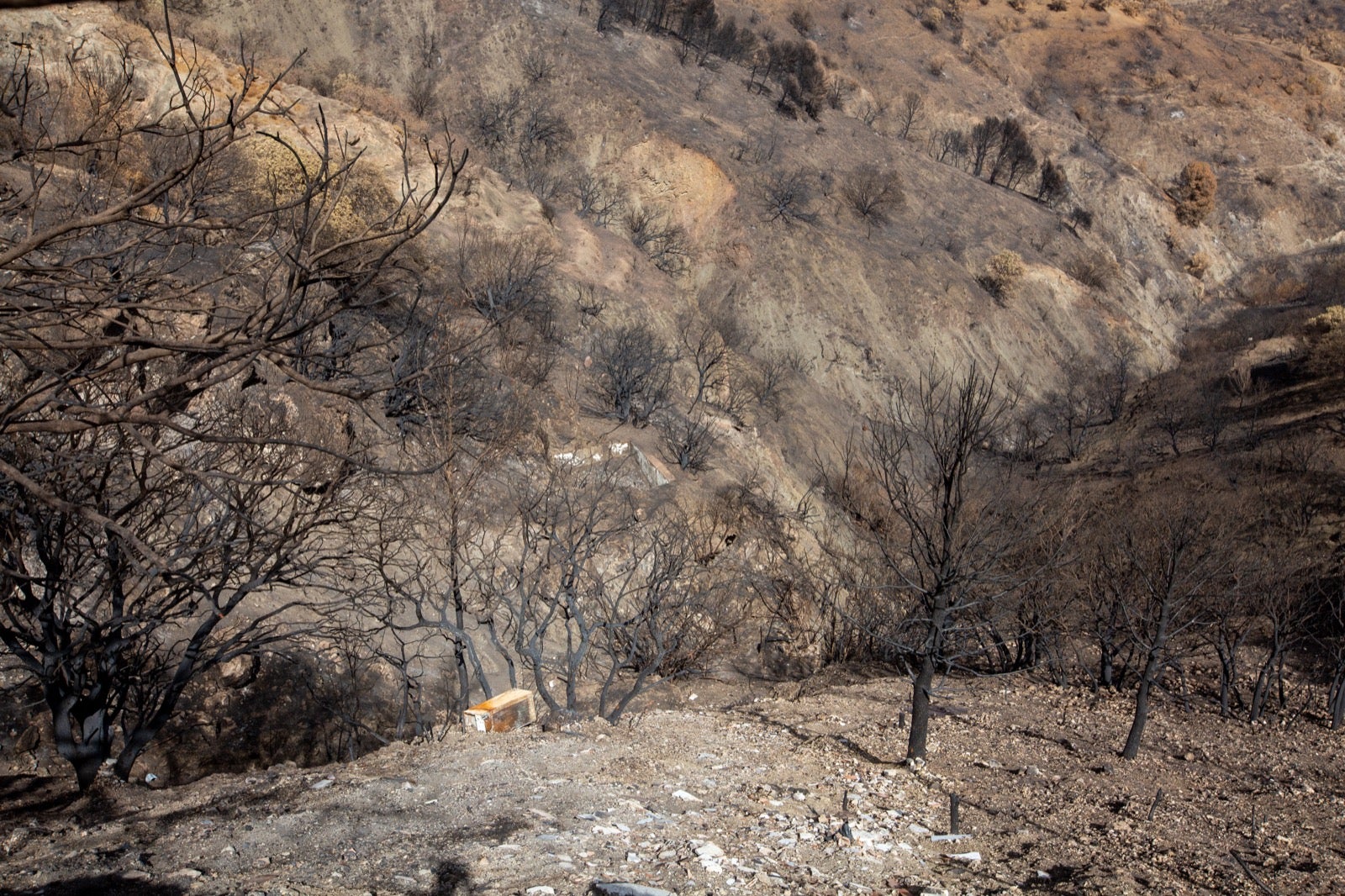 Así ha quedado la zona de Los Guájares tras el gran incendio