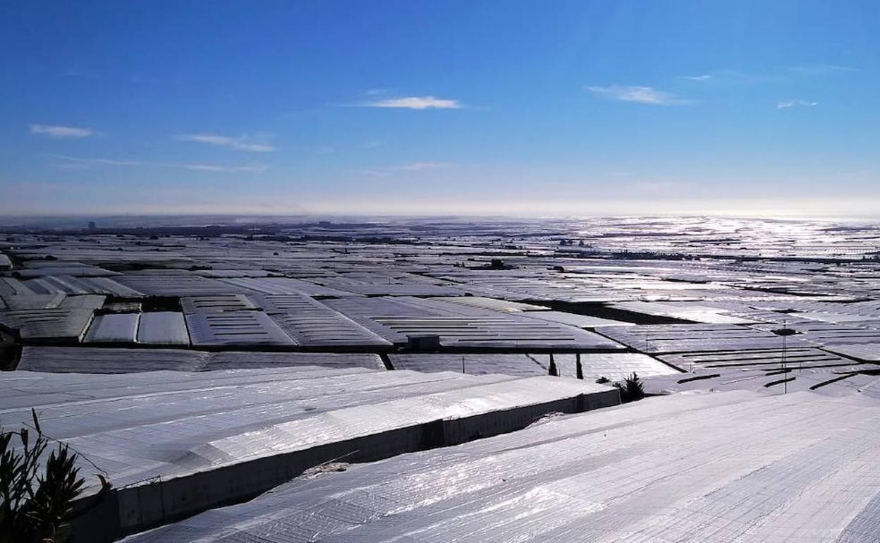COAG considera positivo elevar los mínimos para reconocer a las OPFH