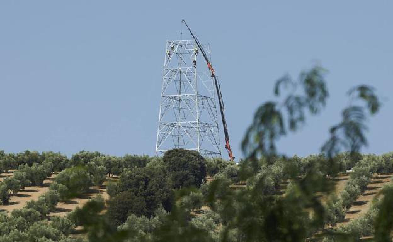 Obras de una torre de la línea, en una imagen de archivo.