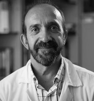 Santiago Moreno Guillén