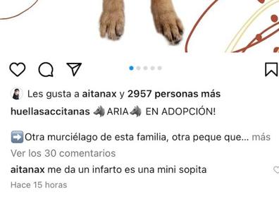 Imagen secundaria 1 - Comentarios en Instagram de Aitana. En la última foto, la artista con Sopa.