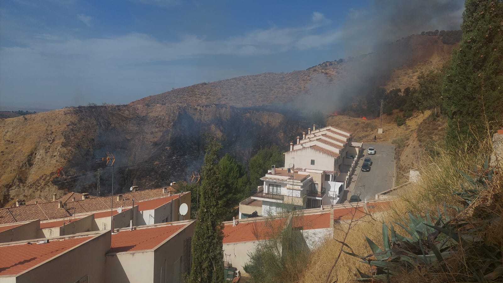 Llamas en Cenes de la Vega este lunes. 