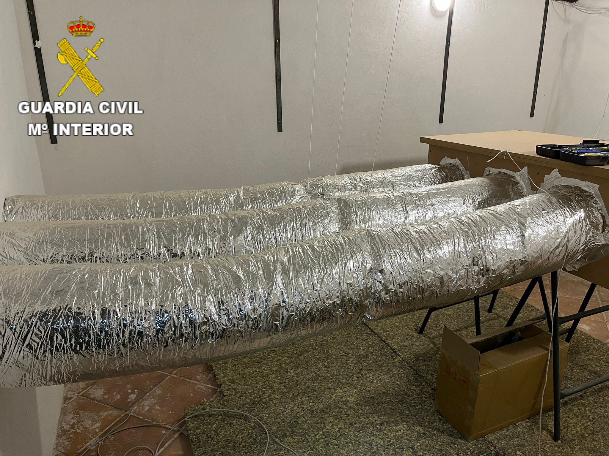 Los agentes han intervenido 17 000 euros en efectivo, una máquina para contar dinero, 105 billetes de lotería, más de 6 000 plantas de cannabis sativa y 4,3 kilos de marihuana dispuesta para la venta 