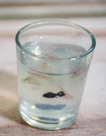 Imagen secundaria 2 - El misterio de la pastelería japonesa en el centro de Granada