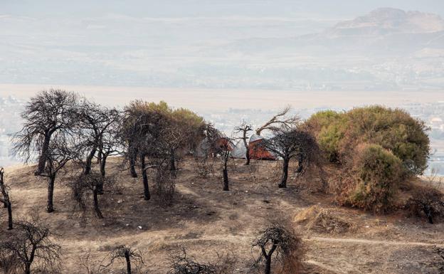 Campistas donde empezó el fuego que quemó 173 hectáreas en San Miguel. 