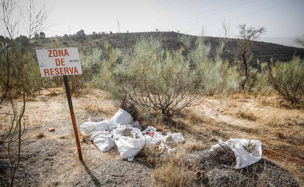 Los incívicos se adentran en los parajes naturales para esconder sus desperdicios. 