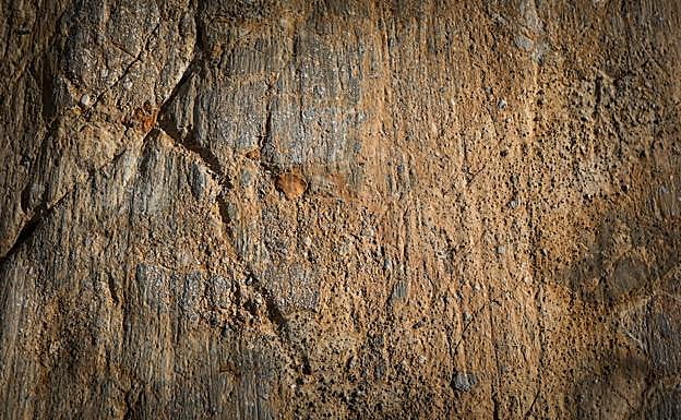 Estrías y fracturas creadas por el movimiento de la falla. 