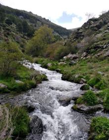 Imagen secundaria 2 - Distintos enclaves de la Vereda de la Estrella, en Granada.