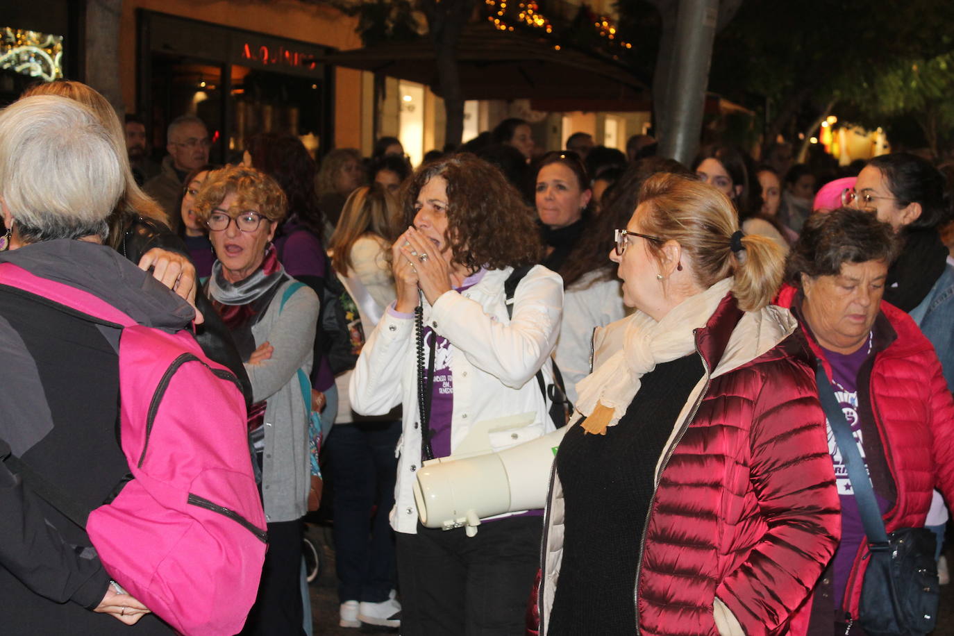 Cientos de almerienses han recorrido las calles de la capital por el Día Internacional Contra la Eliminación de la Violencia Machista.