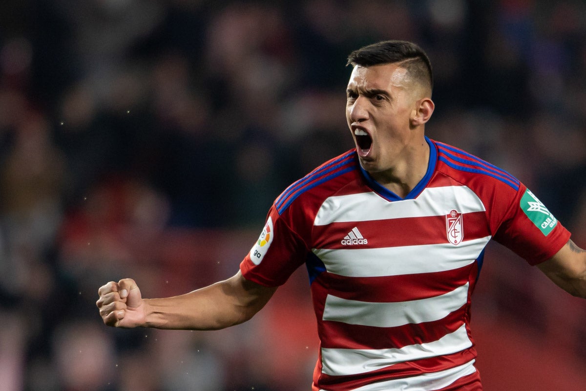 Las mejores imágenes del partido disputado este viernes en Los Cármenes