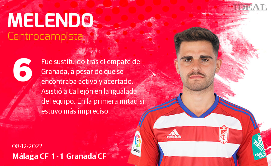 Estas son las notas de Ideal para los rojiblancos en el duelo de La Rosaleda.