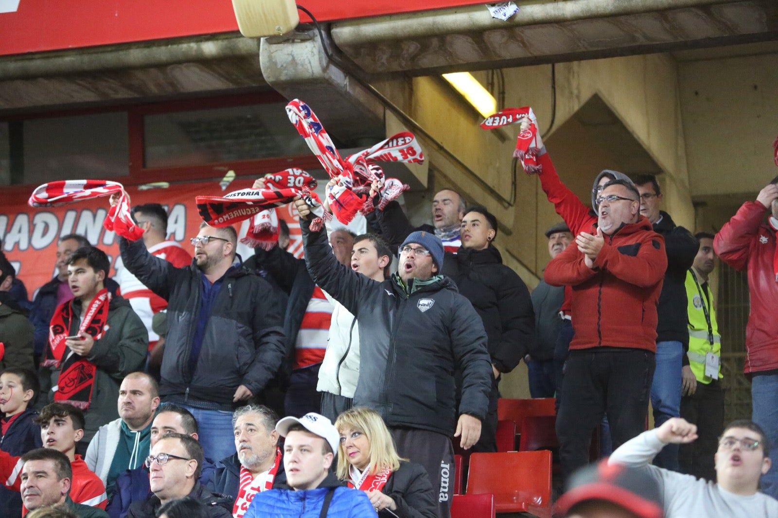 Las mejores imágenes del partido disputado en Los Cármenes