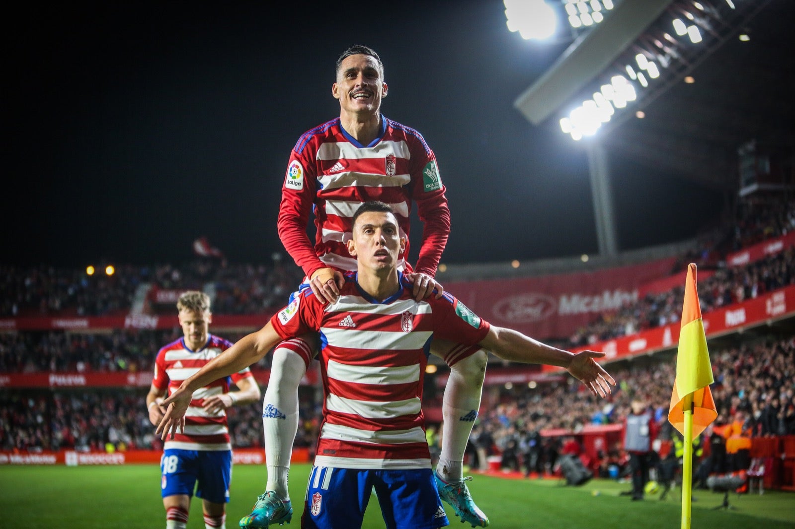 Las mejores imágenes del partido disputado en Los Cármenes