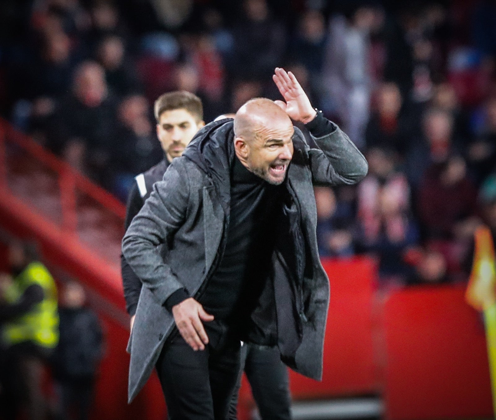 Las mejores imágenes del partido disputado en Los Cármenes