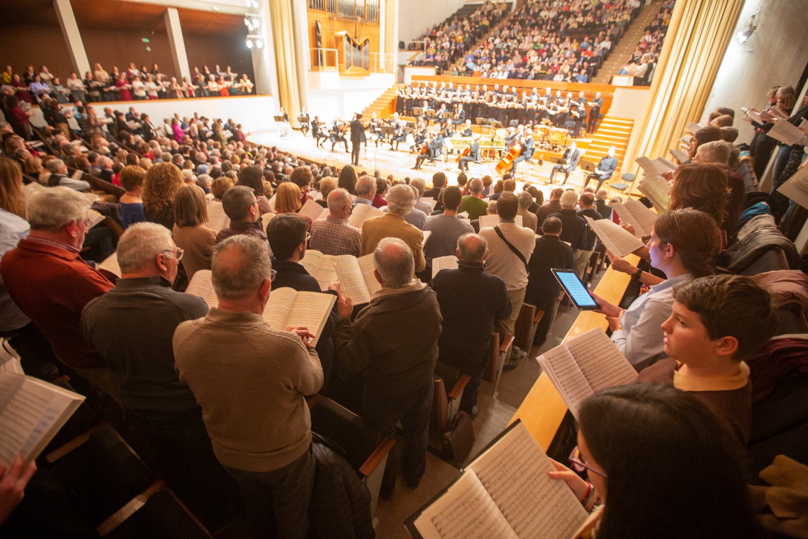 Interpretación de la OCG en las nocehs del viernes y el sábado