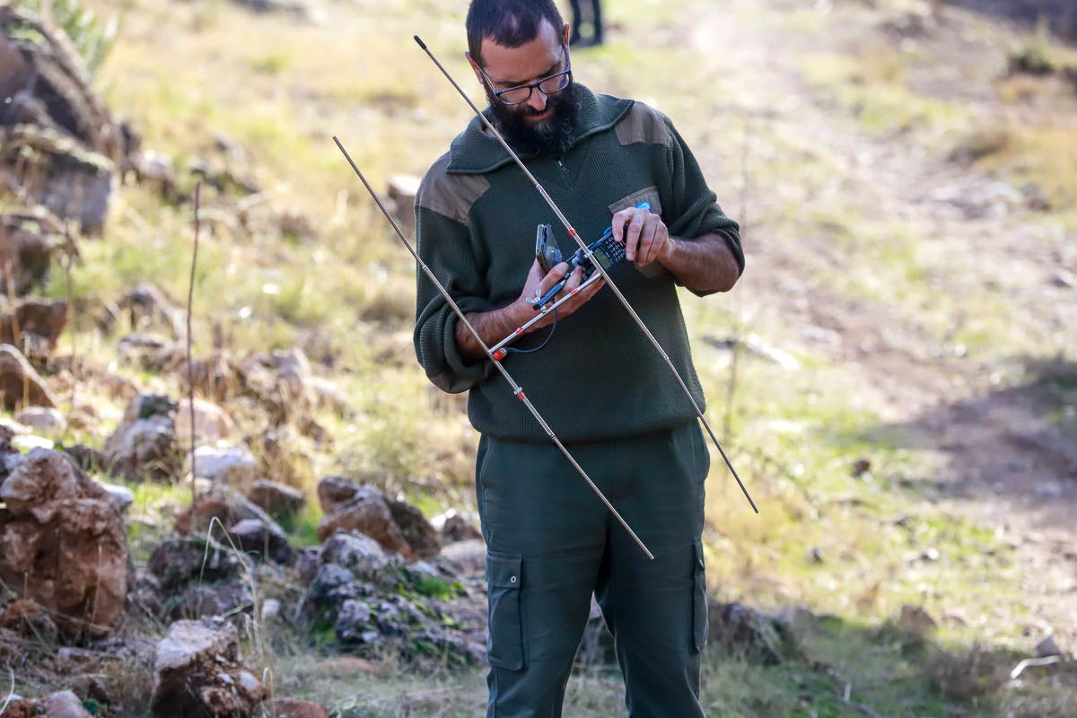 La Junta pone en libertad a dos machos y tres hembras para repoblar la Sierra de Arana