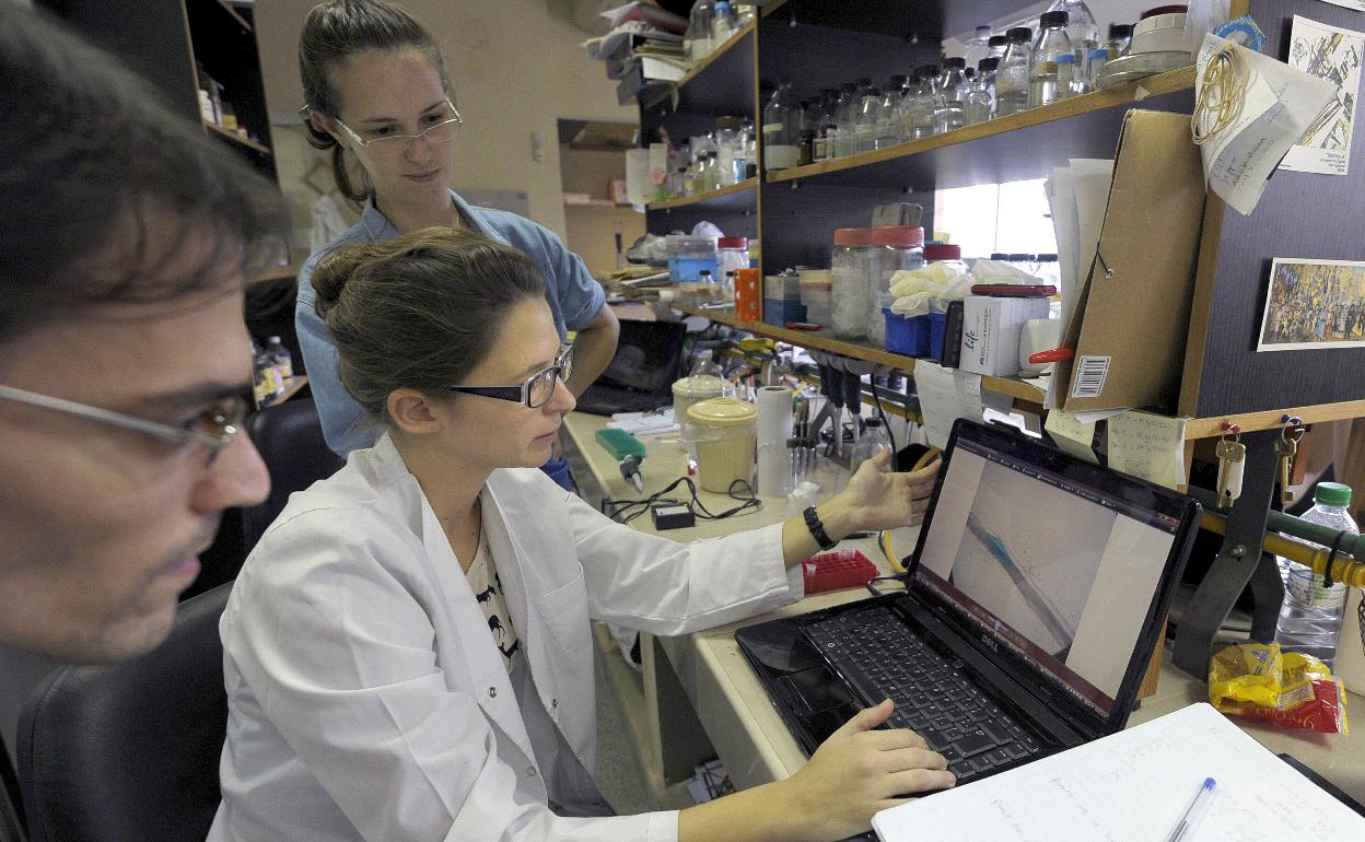 Un equipo de investigación trabaja en su laboratorio. 