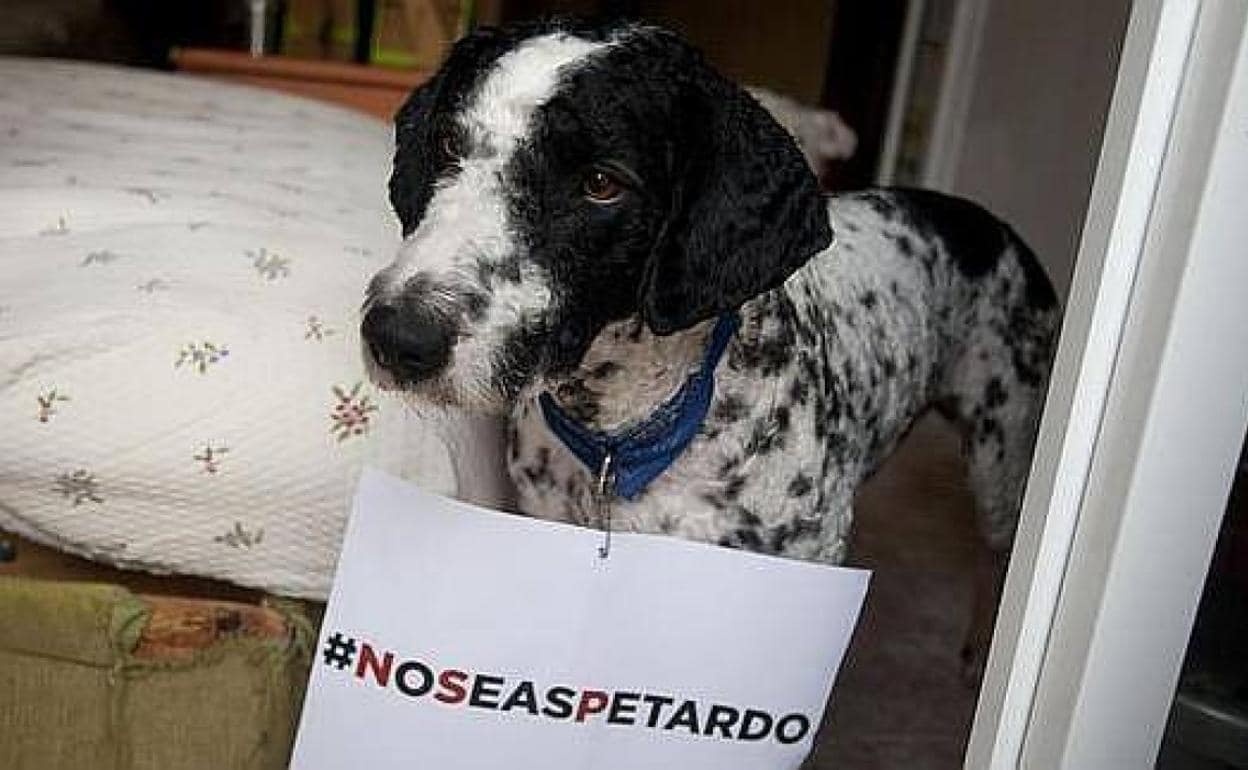 Aumentan las quejas por el uso de petardos en las fiestas navideñas