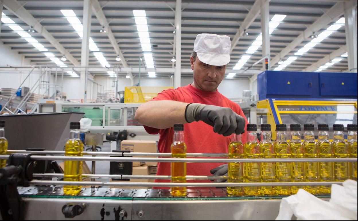 La planta envasadora de aceite de Torres Morente en Granada, en una imagen de archivo. 
