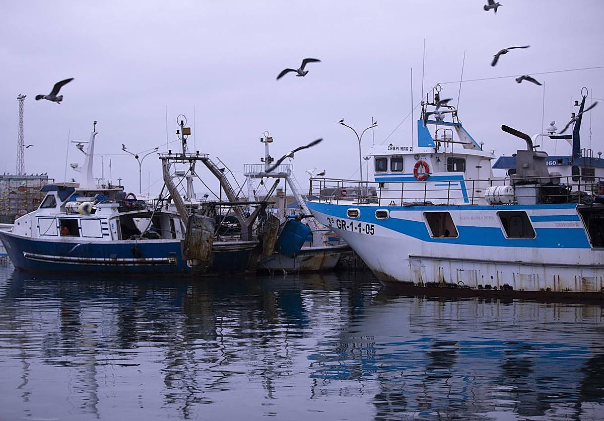 Embarcaciones en el Puerto de Motril.